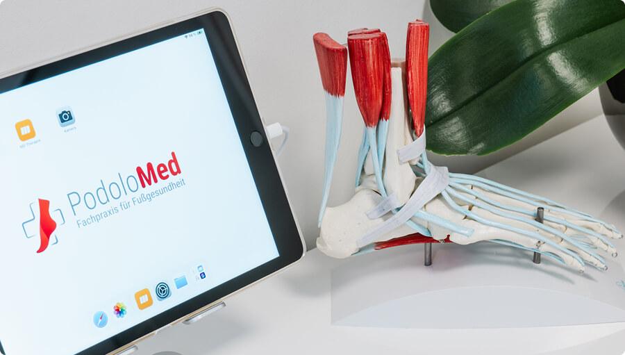 Welche Inhalte werden vermittelt?